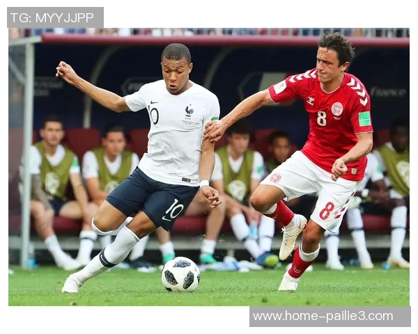 丹麦与法国比赛全场角球数统计分析及其影响因素探讨