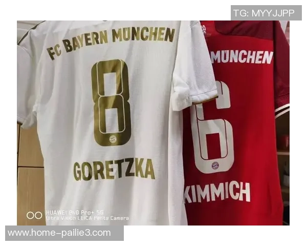 勒芒与格勒诺对决分析：两队战术风格与历史交锋的深度解读